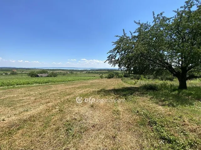 Eladó telek Zánka 3390 nm
