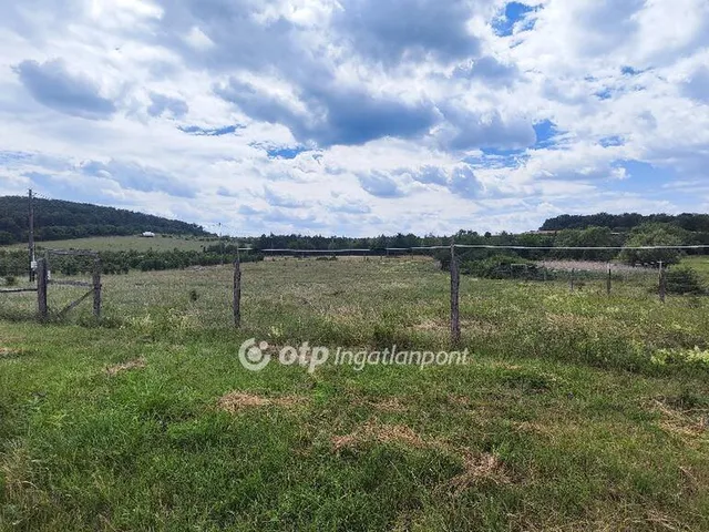 Eladó telek Balatonszőlős 21693 nm