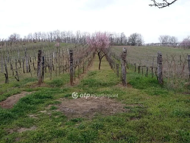 Eladó telek Románd 1119 nm