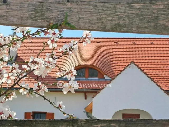Eladó nyaraló Balatonalmádi 138 nm