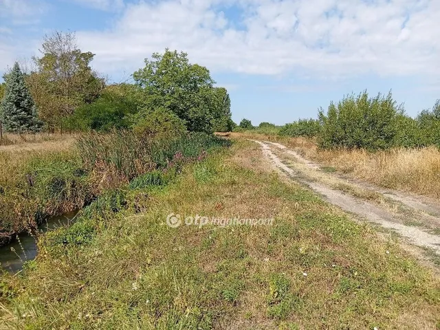 Eladó telek Papkeszi 5650 nm