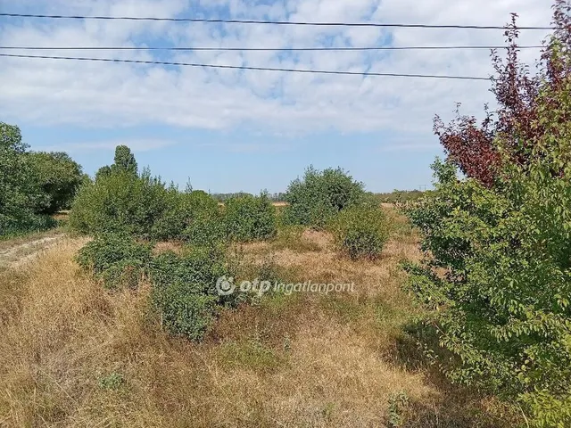 Eladó telek Papkeszi 5650 nm