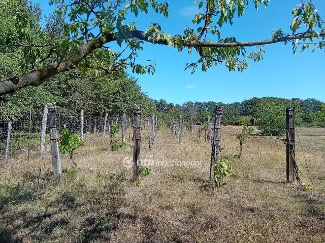 Eladó telek Pula 2250 nm