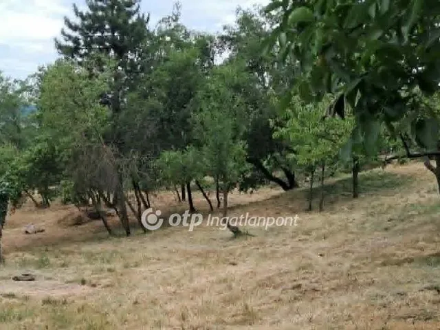 Eladó telek Hegymagas 3160 nm
