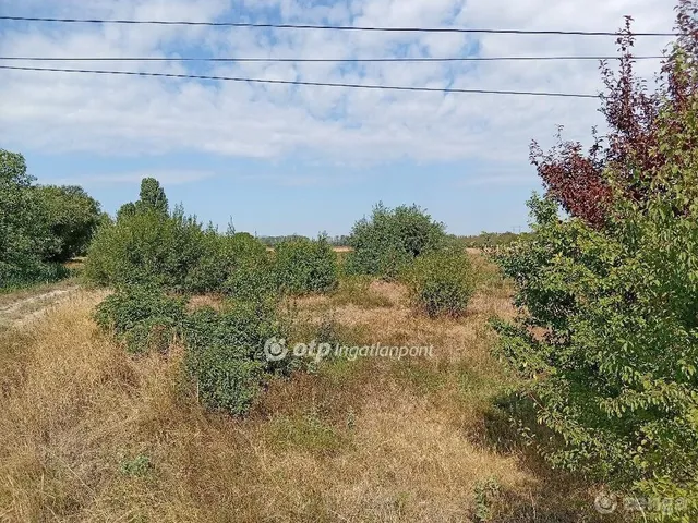 Eladó telek Papkeszi 5650 nm