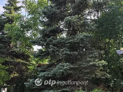 Eladó telek Veszprém, Csatárhegy 807 nm