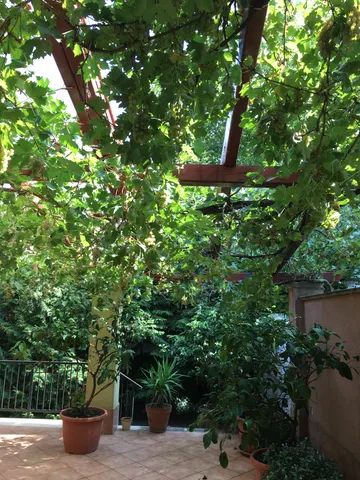 Eladó ház Budapest III. kerület, Csillaghegy 388 nm