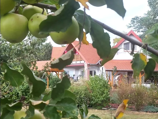 Eladó ház Cserszegtomaj 240 nm