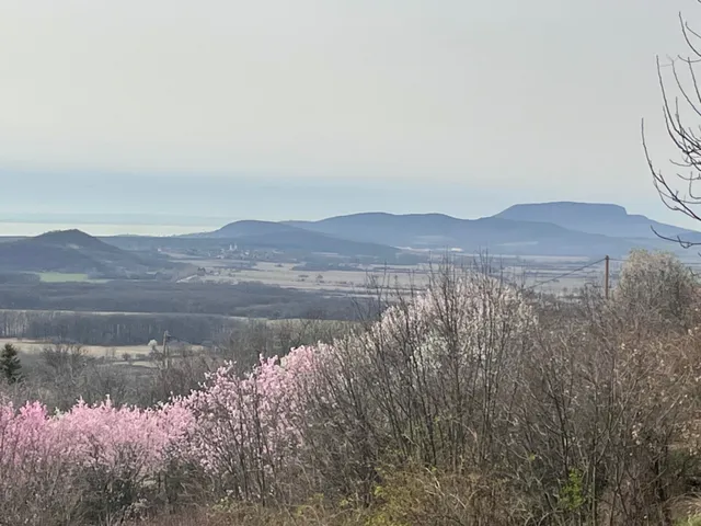 Eladó telek Monoszló 6117 nm