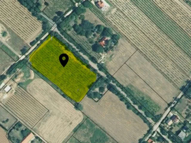 Eladó telek Balatonszepezd 6295 nm