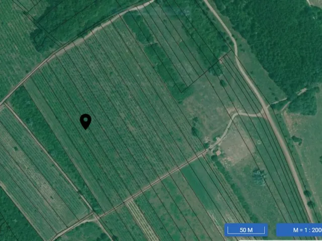 Eladó mezőgazdasági ingatlan Tihany 3165 nm