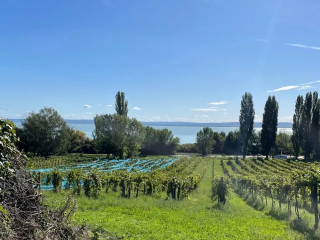 Eladó mezőgazdasági ingatlan Balatonszepezd 1528 nm