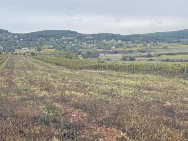 Eladó mezőgazdasági ingatlan Zánka 5736 nm