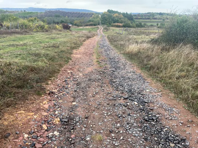 Eladó mezőgazdasági ingatlan Zánka 16634 nm