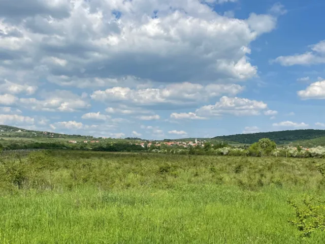 Eladó telek Dörgicse 38500 nm