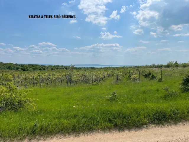 Eladó telek Dörgicse 38500 nm
