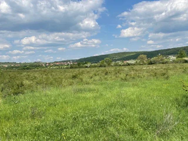 Eladó telek Dörgicse 38500 nm