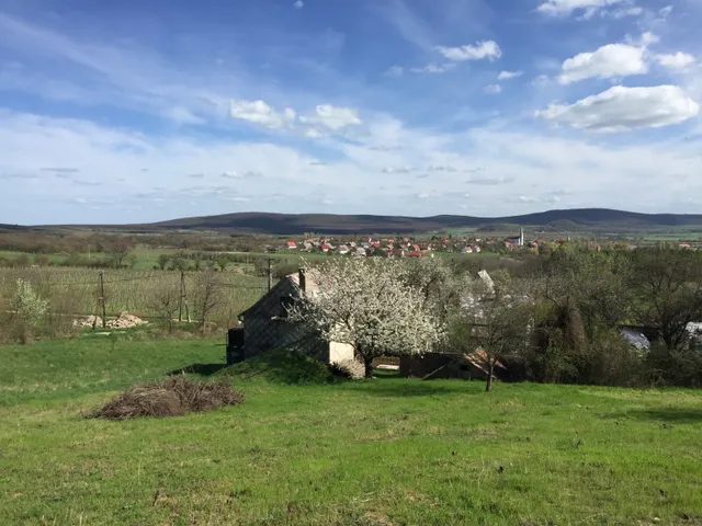 Eladó telek Köveskál 7677 nm