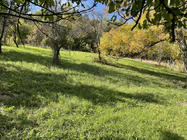 Eladó üdülő és hétvégi ház Pécsely 45 nm