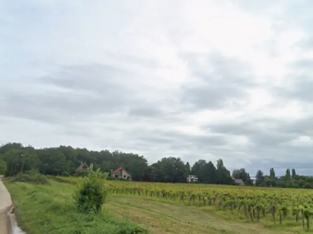 Eladó mezőgazdasági ingatlan Balatonszepezd 16400 nm