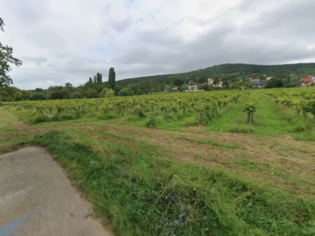 Eladó mezőgazdasági ingatlan Balatonszepezd 16400 nm