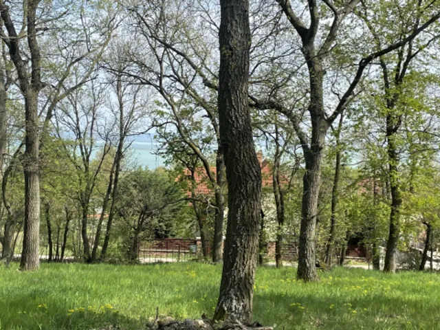 Eladó mezőgazdasági ingatlan Balatonszepezd 2872 nm