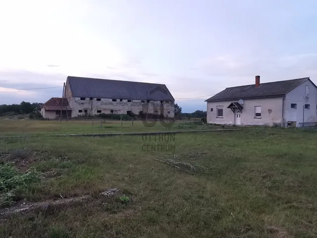 Eladó telek Nagyszentjános 100000 nm