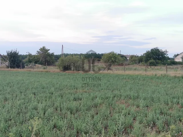 Eladó telek Nagyszentjános 100000 nm