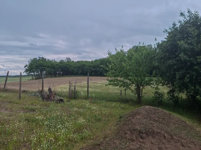 Eladó mezőgazdasági ingatlan Baja 180 nm