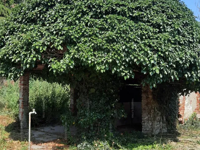 Eladó mezőgazdasági ingatlan Sükösd 1674 nm