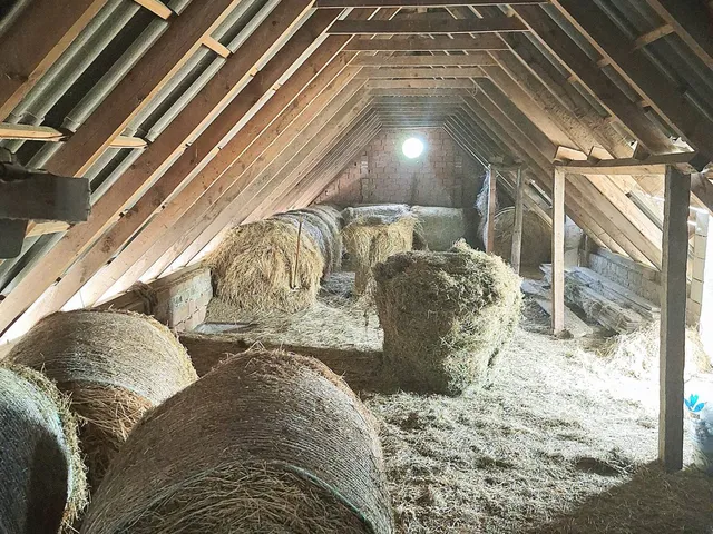 Eladó mezőgazdasági ingatlan Baja 180 nm