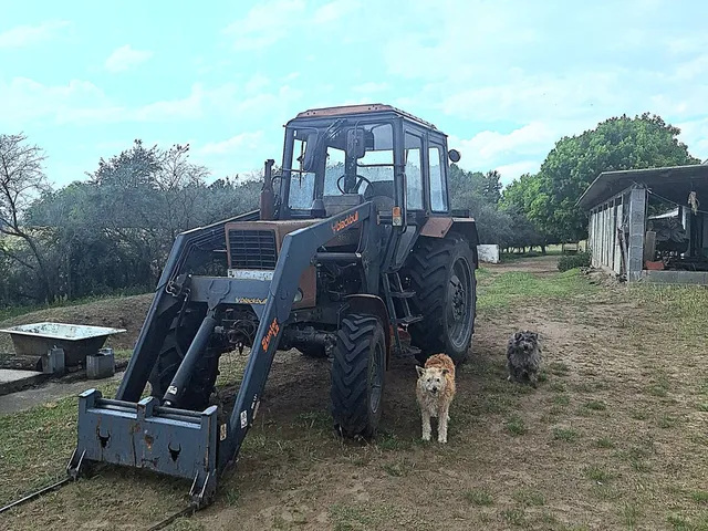 Eladó mezőgazdasági ingatlan Baja 180 nm