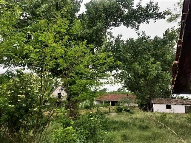 Eladó mezőgazdasági ingatlan Sükösd 7051 nm