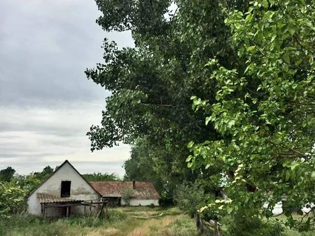 Eladó mezőgazdasági ingatlan Sükösd 7051 nm