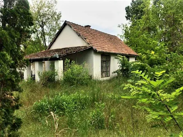Eladó mezőgazdasági ingatlan Sükösd 7051 nm
