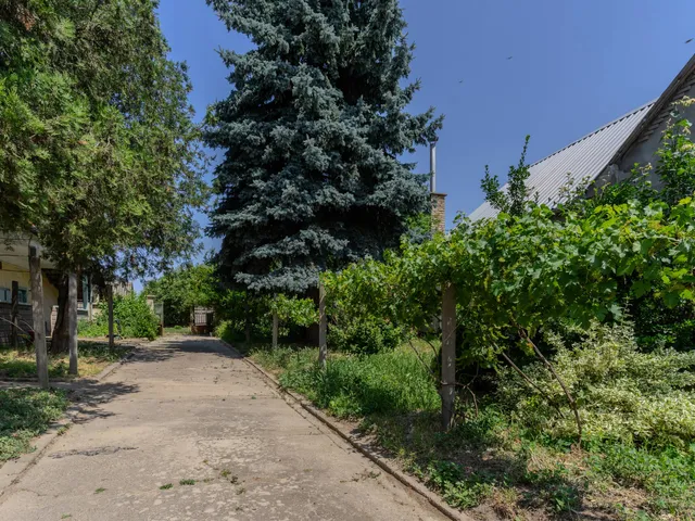 Eladó ház Csávoly 113 nm