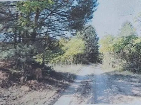 Eladó mezőgazdasági ingatlan Pirtó 537186 nm