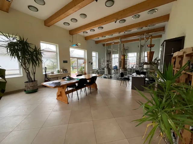 Eladó kereskedelmi és ipari ingatlan Baja 200 nm