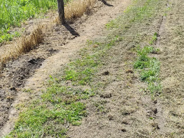 Eladó telek Zalaszentgrót 1195 nm