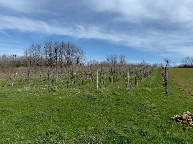 Eladó mezőgazdasági ingatlan Zalaszentgrót, Aranyod 40 nm