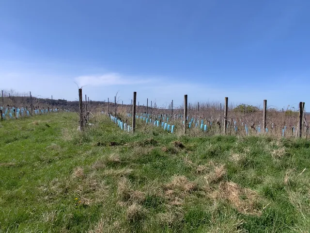 Eladó mezőgazdasági ingatlan Zalaszentgrót, Aranyod 40 nm