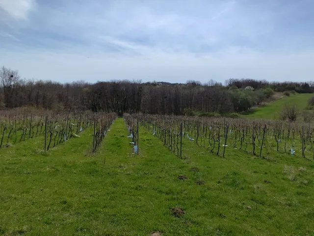 Eladó mezőgazdasági ingatlan Zalaszentgrót, Aranyod 20 nm