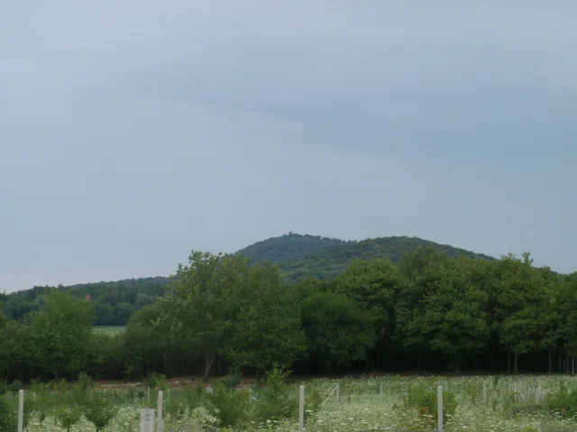 Eladó telek Nagykovácsi, Kecskehát 3835 nm