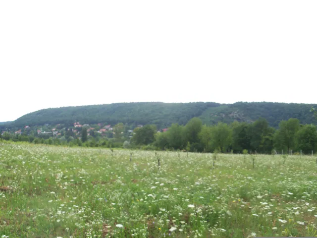 Eladó telek Nagykovácsi, Kecskehát 1352 nm