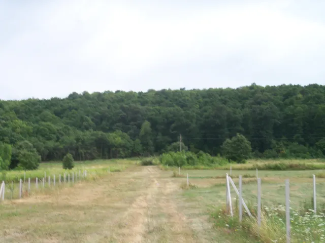 Eladó telek Nagykovácsi, Kecskehát 1352 nm