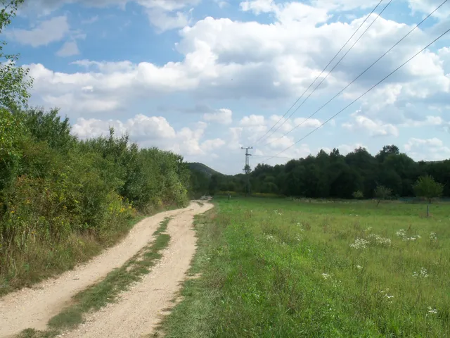 Eladó mezőgazdasági ingatlan Nagykovácsi 4300 nm