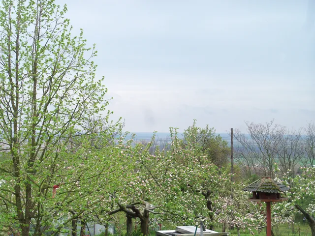 Eladó ház Pákozd, Ibolya utca 106 nm