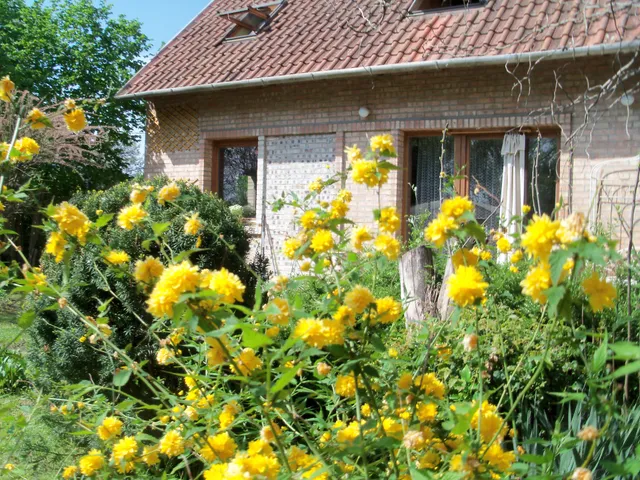 Eladó ház Kápolnásnyék 180 nm