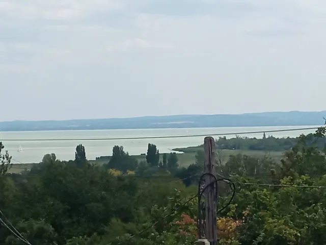 Eladó ház Csopak 360 nm