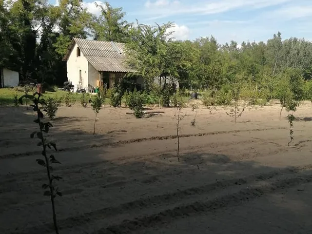 Eladó mezőgazdasági ingatlan Ásotthalom 5755 nm